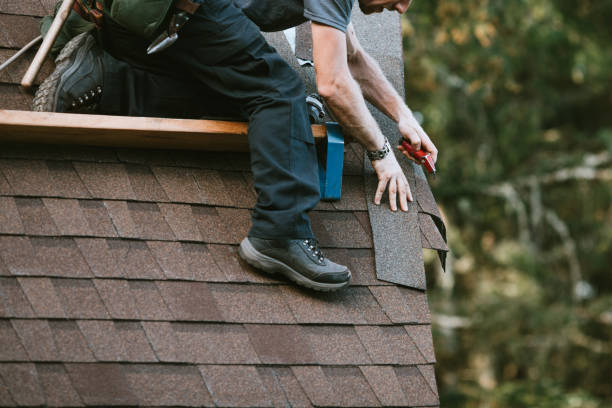 Best Roof Gutter Cleaning  in Sugarmill Woods, FL