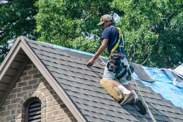 Quick and Trustworthy Emergency Roof Repair Services in Sugarmill Woods, FL